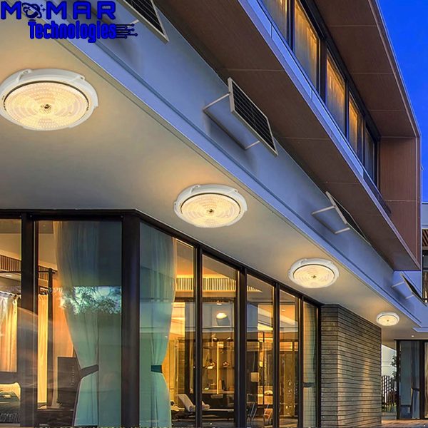 Solar Light